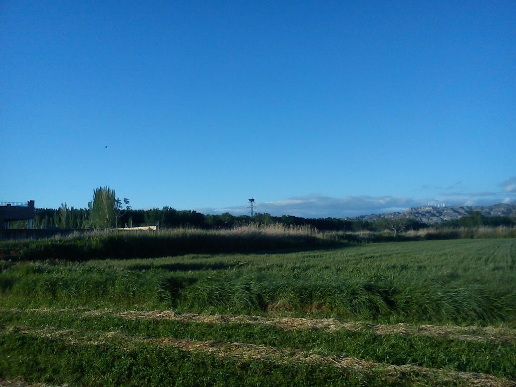 La Palmera De La Insula Alcala de Ebro 외부 사진