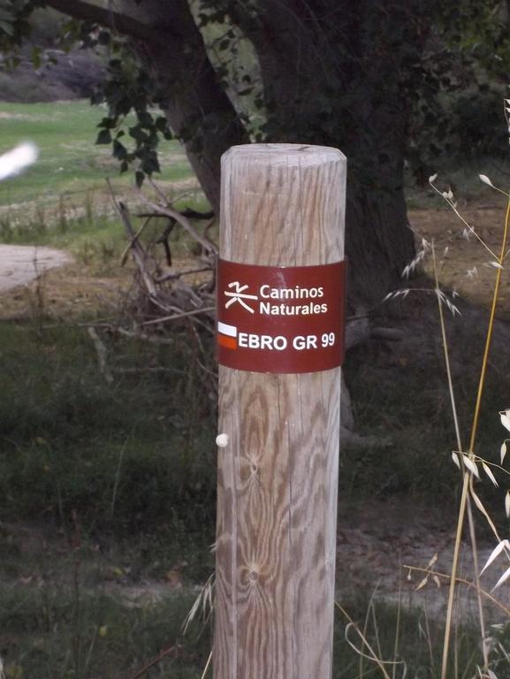 La Palmera De La Insula Alcala de Ebro 외부 사진